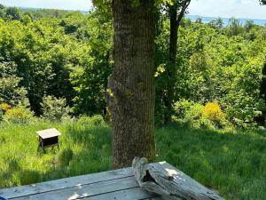 Elevated House With Tremendous View Near Horsens