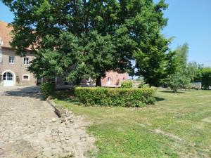 Maisons de vacances Les Meubles de la Motte Obin : photos des chambres