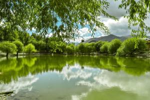 stargazing homestay Nako