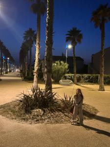 Au balcon de la mer, appartement à Marseillan plage