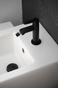 Penthouse with terrace Cavour 26