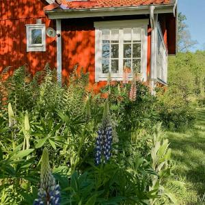 Forest Retreat With Wood Stove In Skåne