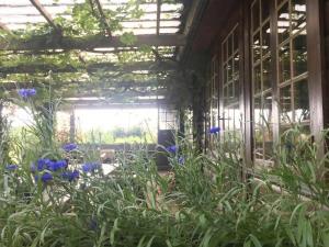 Unique Log Cabin In Quiet Forest