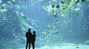 Maisons de vacances La Brainoise Maison familiale chaleureuse avec jardin et plage sauvage : photos des chambres