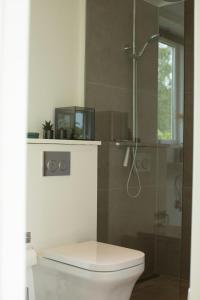 Calm In Modern House Near Water