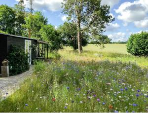 Architect-Designed Cottage With Stunning Views