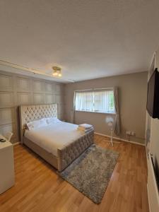 Quiet and professional friendly