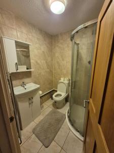 Quiet and professional friendly