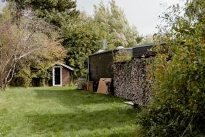 Morning Sun And Starry Sky From Bed