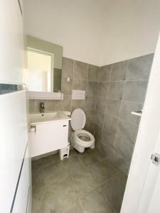 Vintage Villa confortable apartments Wifi private pool free parking