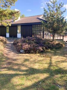 Settle In Dunes And Sand Near Skagen