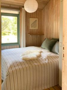 Settle In Dunes And Sand Near Skagen