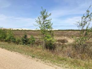 Settle In Dunes And Sand Near Skagen