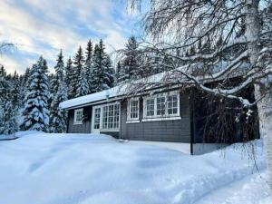 Lakeside Cabin Near Sjusjøen And Lillehammer