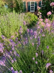 Rural Retreat With Garden In The Wendland Region