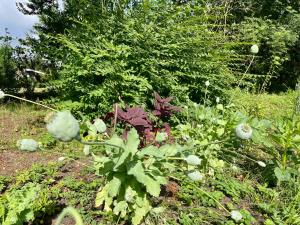 Charming Cottage Close To Smidstrup Beach