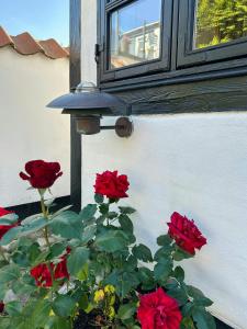 Half-Timbered House With Harbor View In Ebeltoft