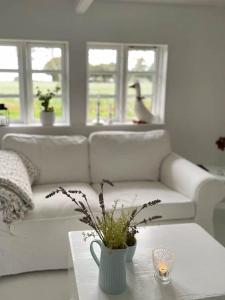 Half-Timbered House From 1894 With Wilderness Bath