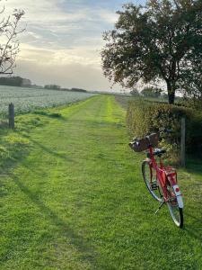 Half-Timbered House From 1894 With Wilderness Bath