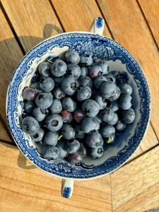 Traditional Kalmar House Close To The Beach