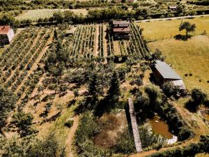 Holiday house with a parking space Mandicevac, Slavonija - 24644