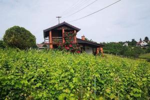 Holiday house with a parking space Mandicevac, Slavonija - 24644