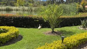 Finca la gloria un paraíso para disfrutar