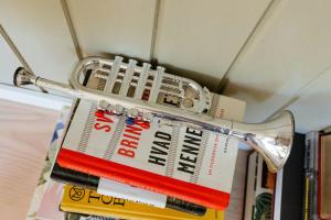 Stylish And Charming Oasis In North Zealand