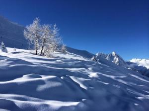 Appartements Apartment in Vallorcine for Winter Sports : photos des chambres