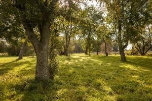 Wide View On Nature From The Manor House On Rügen