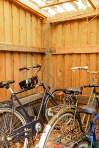 Light And Wild Woods For The Entire Family