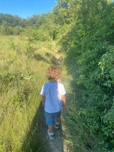 Peaceful Family Retreat In Aix-En-Provence