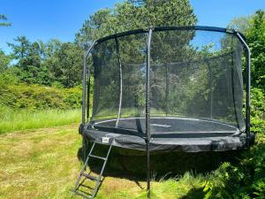 Black Wooden Cottage Near Forest And Beach
