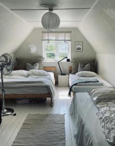 Danish Summer Feel In An Open Landscape