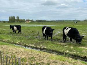 Charming Summer House Near Dalbybugten