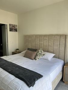 Acogedor departamento en solares zona real, alberca, gym y terrazas