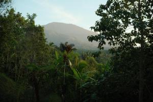 Luciole Mountain House with Jungle & Volcano Views