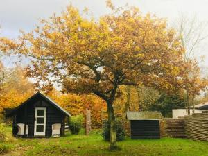 Tiny House Vibe At Beach Near Saksild Home