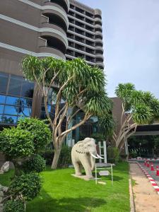 First Pacific Cirrus