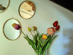 Maison forestière paisible avec piscine et animaux admis - FR-1-583-423