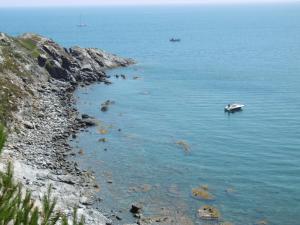 Villas Charmante villa T2 mezzanine avec cour, jardin, veranda, barbecue et parking prive, proche plage et commerces - FR-1-797-2 : photos des chambres