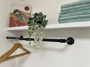 TravellersDen Bukidnon Unit 38