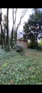 Maisons de vacances Chateau Daulone : photos des chambres