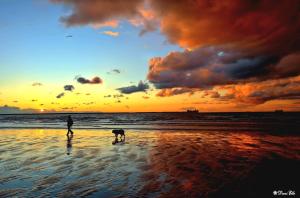 Maisons de vacances La Brainoise Maison familiale chaleureuse avec jardin et plage sauvage : photos des chambres