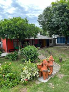 Hotel Cabañas Santa Rosa Suarez Tolima