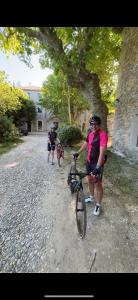 Maisons de vacances Domaine Daulone plein sud : photos des chambres