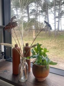 Simplicity In Retro Home On Samsø
