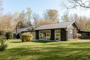 Light And Wild Woods For The Entire Family