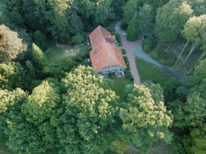 Forest Retreat In East Frisia