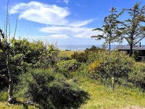 Simple Living Right Next To The Sea